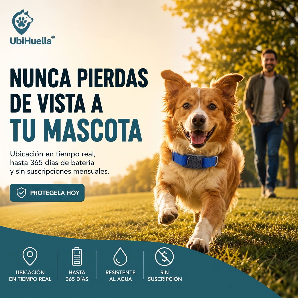 UbiHuella - Localizador para mascotas, perros y gatos