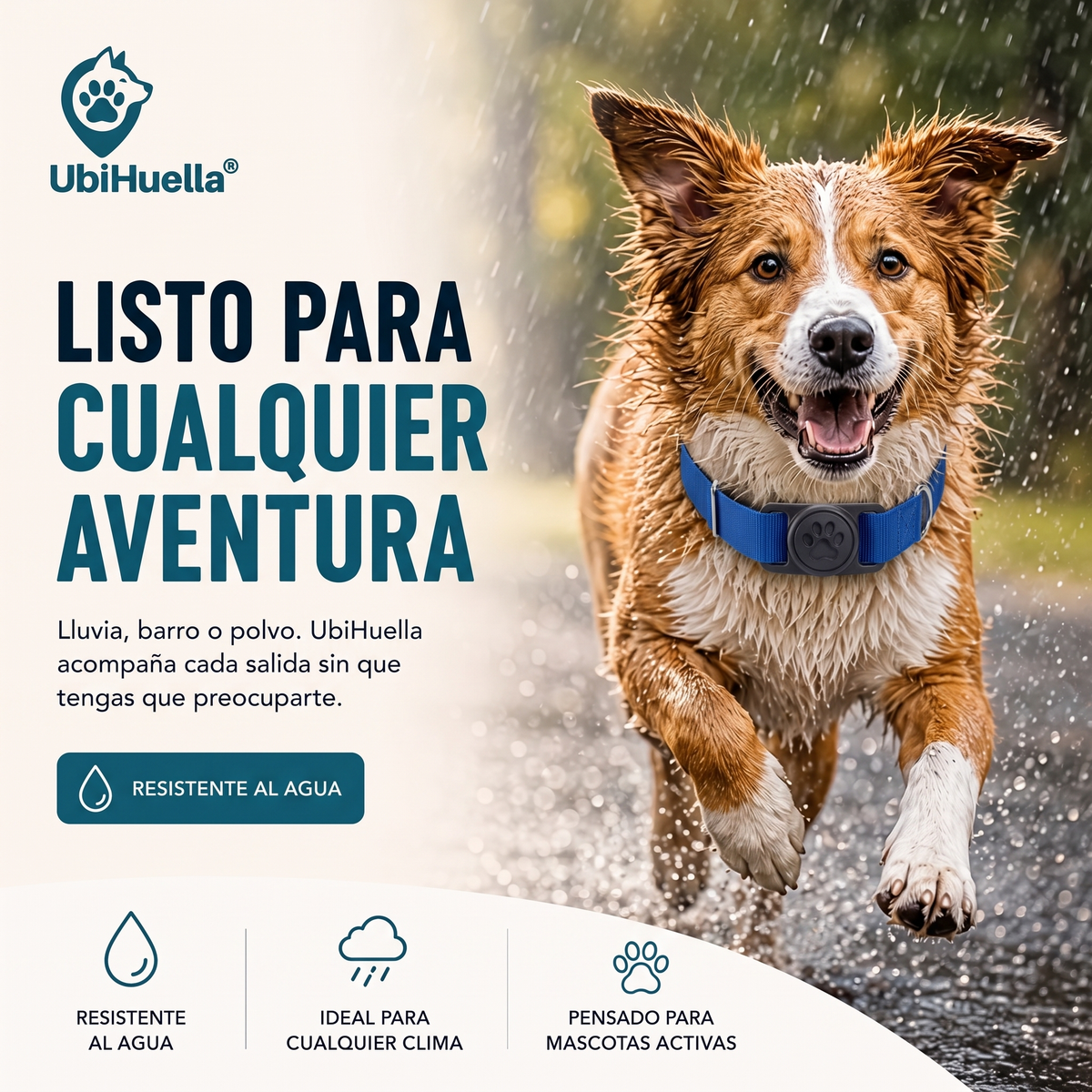 UbiHuella - Localizador para mascotas, perros y gatos